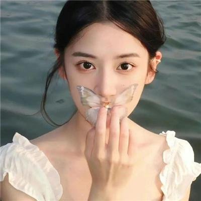 美丽的谎言 高清封面