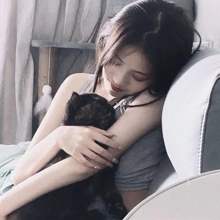 探险活宝第八季 高清封面